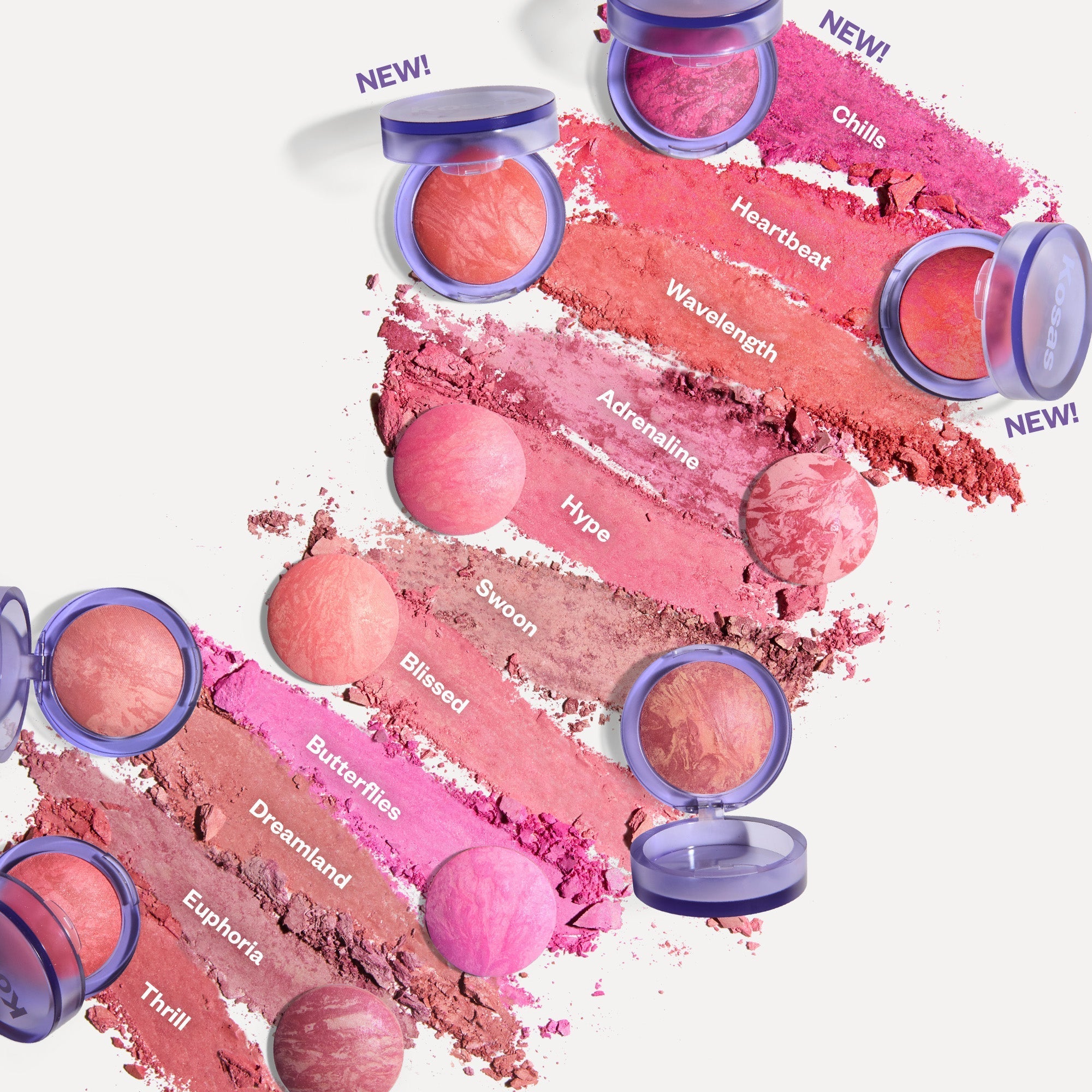 Blush is Life Shade Layout